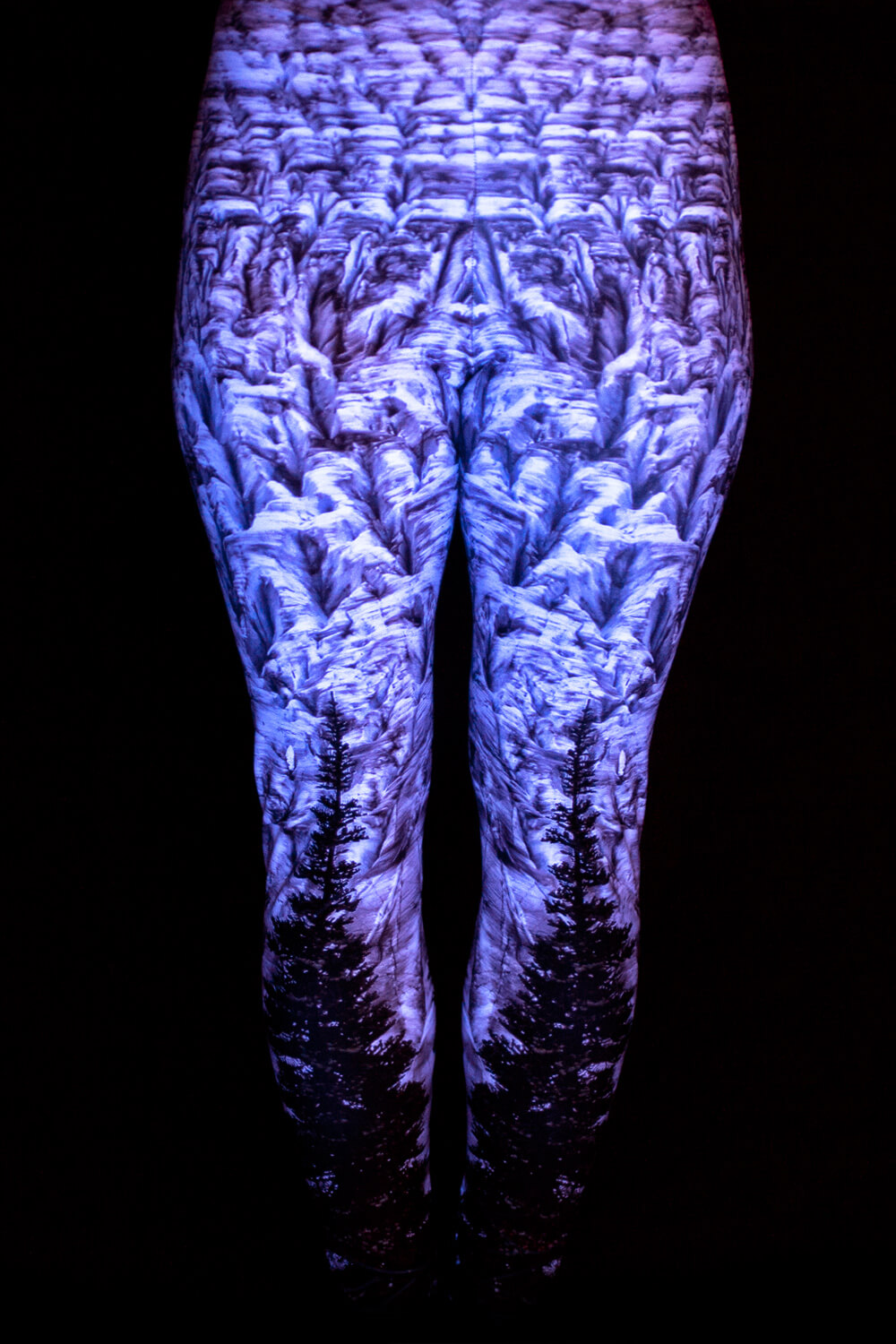Terramorph Leggings - Image 2