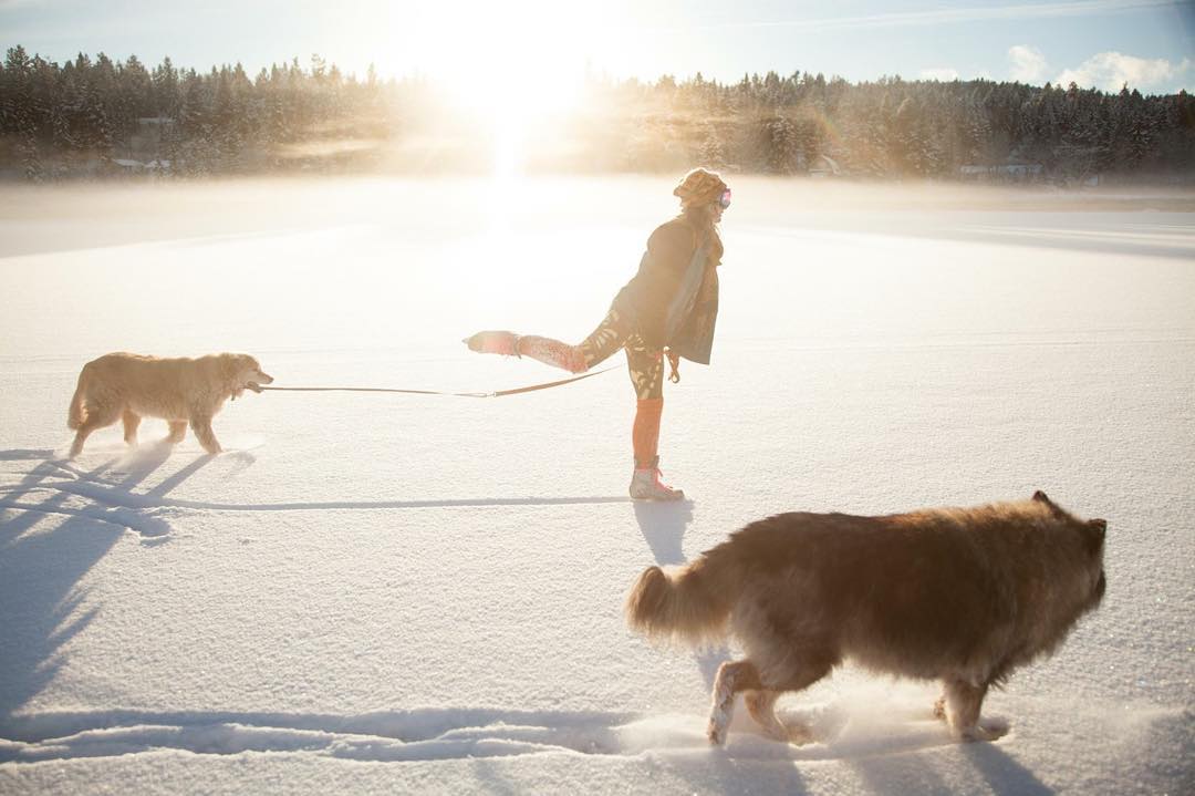 Fluttersby Leggings - Image 12