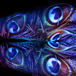 Divinity Leggings - Image 7