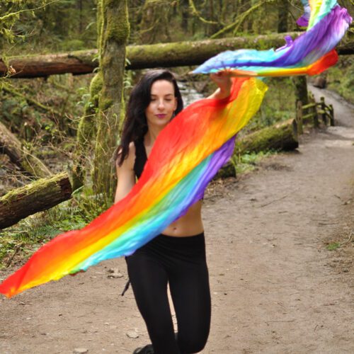 Rainbow Silk Veil Fans - Image 12