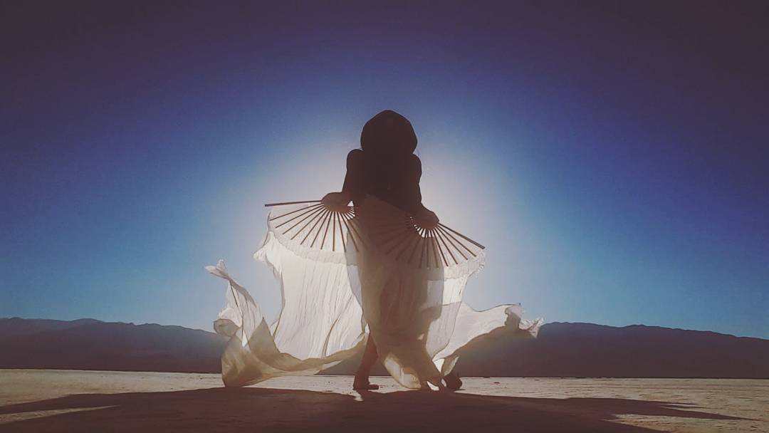 Moonflower Silk Veil Fans - Image 5