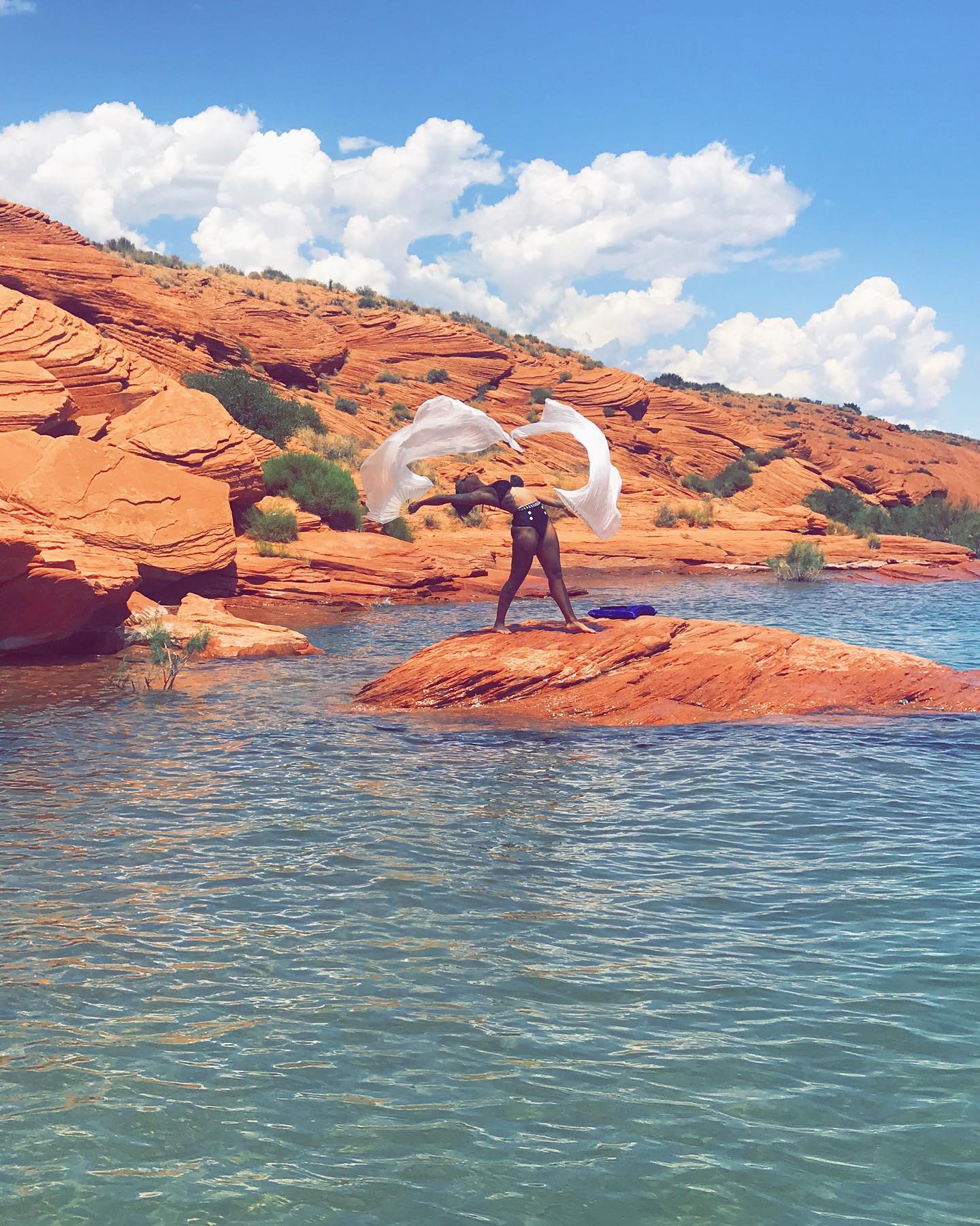 Moonflower Silk Veil Fans - Image 11