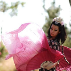 Stargazer Silk Veil Fans