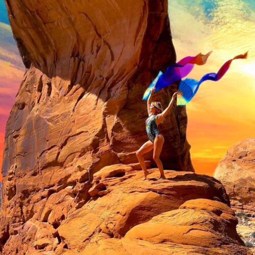 Paradise Silk Veil Fans