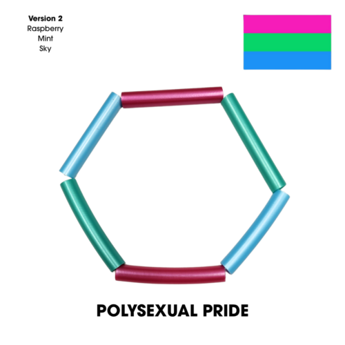 Pride Sectional Polypro Hoop - Image 33