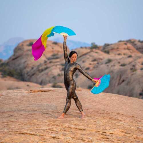 Wildflower Silk Veil Fans - Image 8